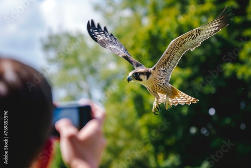 person taking photo of falcon midflight photo