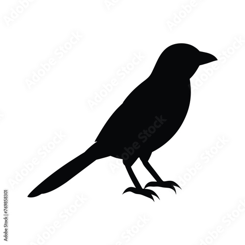 silhouette of a shrike on white