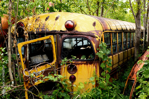 The back door of a rusty old yellow school bus overgrown with weeds in an auto wrecker scrap yard