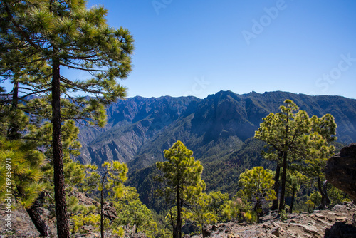 Landscape in Bejenado Peak in Caldera de Taburiente  La Palma  Spain