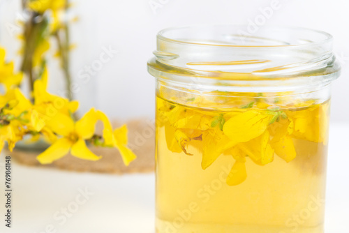infusion of forsythia flowers, a rich source of rutin, rutoside photo