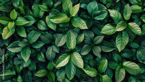 a green leaves background, showcasing a top view of a vibrant plant wall with a nature leaf texture, perfect for garden or landscape decoration and wallpaper design. SEAMLESS PATTERN