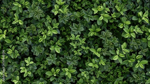 Wallpaper Mural a green leaves background, showcasing a top view of a vibrant plant wall with a nature leaf texture, perfect for garden or landscape decoration and wallpaper design. SEAMLESS PATTERN Torontodigital.ca
