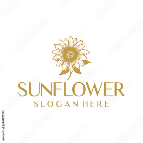 Sunflower, floral logo vector illustration
