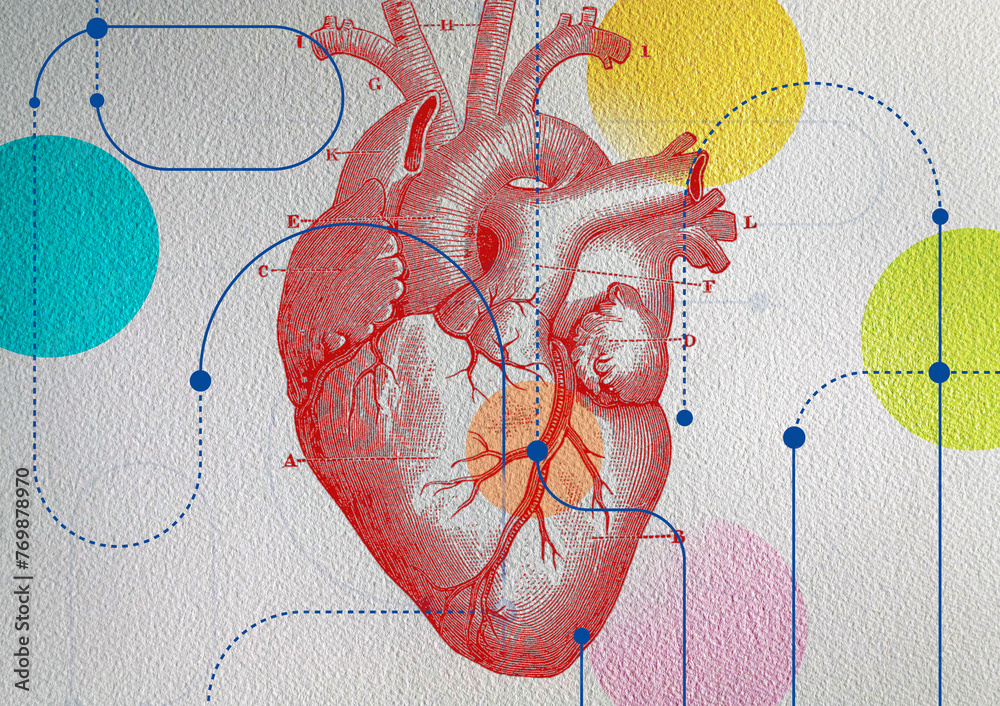 © IKON Images - Connections to diagram of human heart