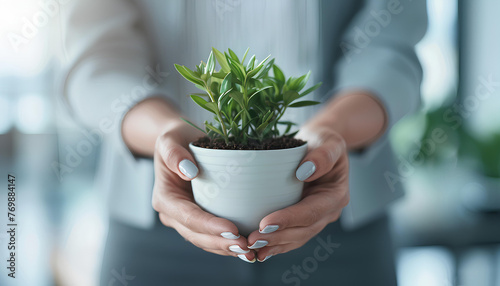 Business hands giving pot with green plants to each other are the symbol of green business company on blurred white office background photo