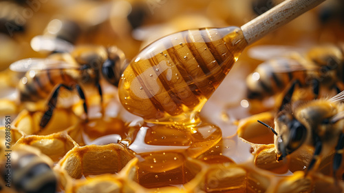 Bees On Honeycomb With Honey Dipper Background © Prayoga