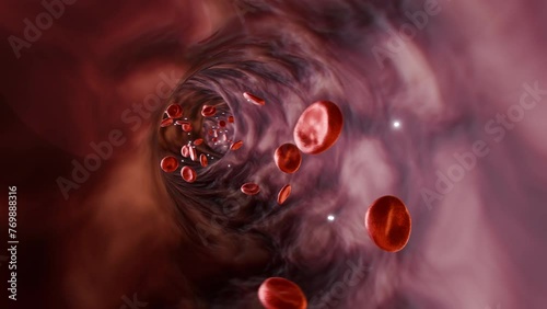 Blood Vessel: Proteins In Blood