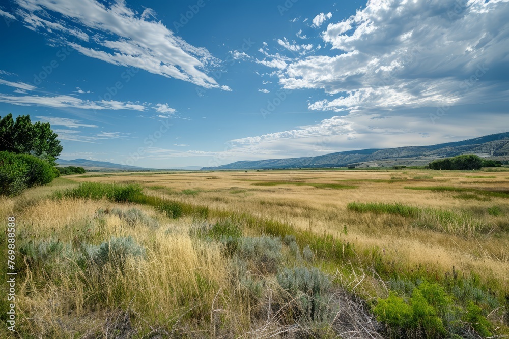 A wide angle view of a conservation easement with protected land set aside to preserve wildlife habitats, featuring a wide open field with mountains in the background