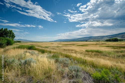 A wide angle view of a conservation easement with protected land set aside to preserve wildlife habitats  featuring a wide open field with mountains in the background