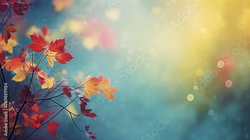 Colorful Maple Leaves. Autumn Background for Banner or Poster. Autumn Wallpaper.