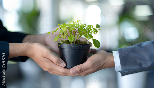 Business hands giving pot with green plants to each other are the symbol of green business company on blurred white office background