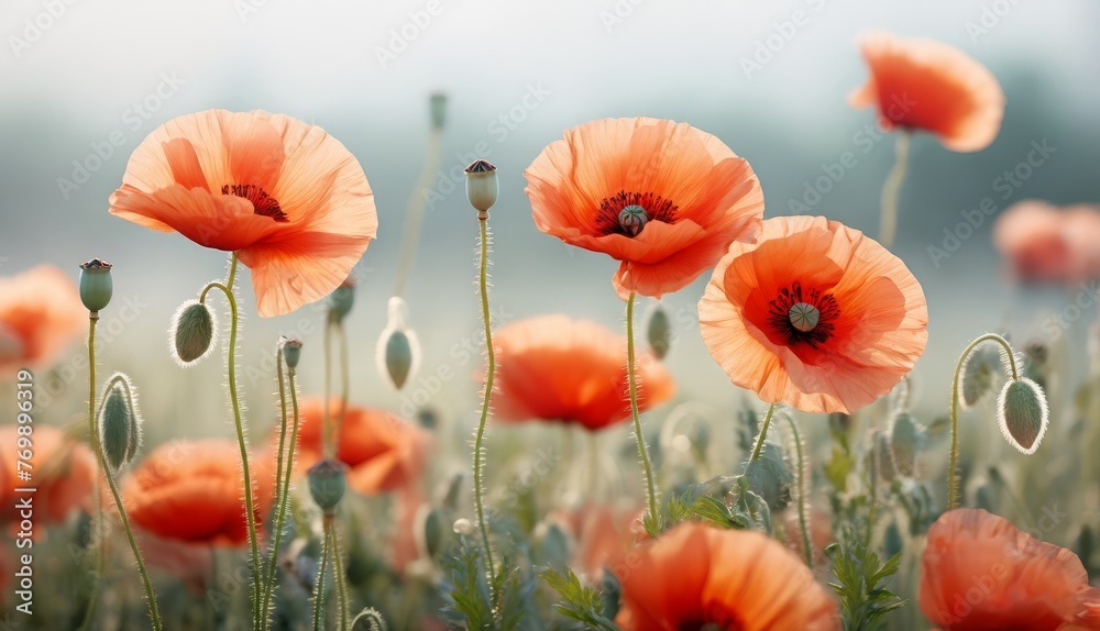 Obraz premium A field filled with orange flowers against a blue backdrop and featuring some green stems in the foreground