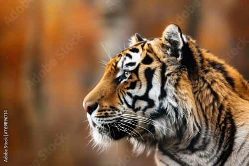 tiger portrait in profile. ai generative