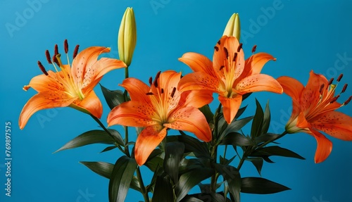  A vase filled with orange lilies on a blue background with a blue wall in the background