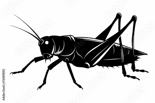 A realistic Grasshopper silhouette black on white background