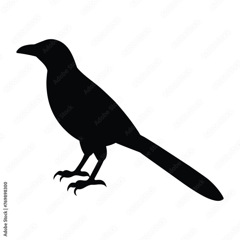 silhouette of a grackle bird on white silhouette of a grackle bird on white