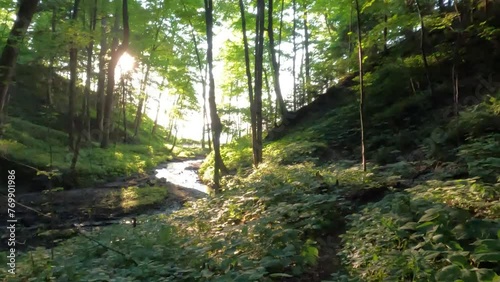 walking down trail, sun rays in forest, moving down trail along a creek