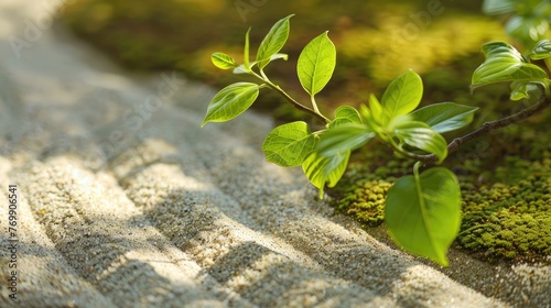 tranquil Zen garden with raked sand moss photo