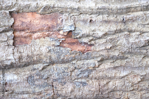 Old wood with the bark cracked off background, Wood texture