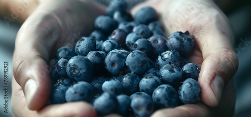hands holding a handful of organic blueberries, healthy food harvest fresh