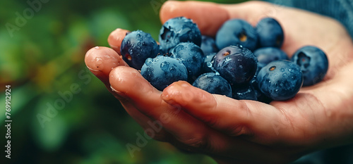 wet hand holding fresh harvested blueberries, green background, fresh, organic, healthy