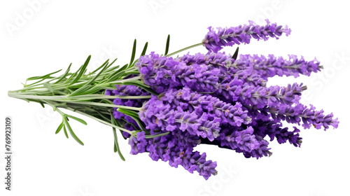 Isolated Lavender Image on transparent background