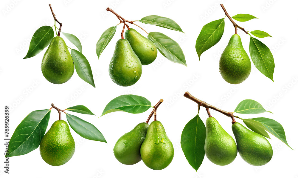 Set of branches of delicious ripe avocados, cut out Set of branches of delicious ripe avocados, cut out