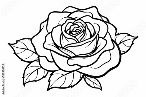 Rose flower outline silhouette black vector illustration 