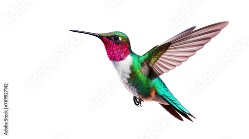 Elegant Hummingbird Portrait on transparent background © Farah