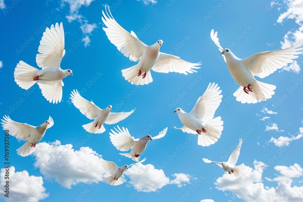 Obraz premium A Flock of White Birds Flying Through a Blue Sky
