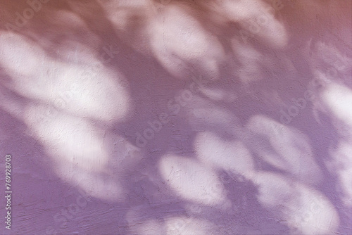 Shadows from foliage on an old pink wall