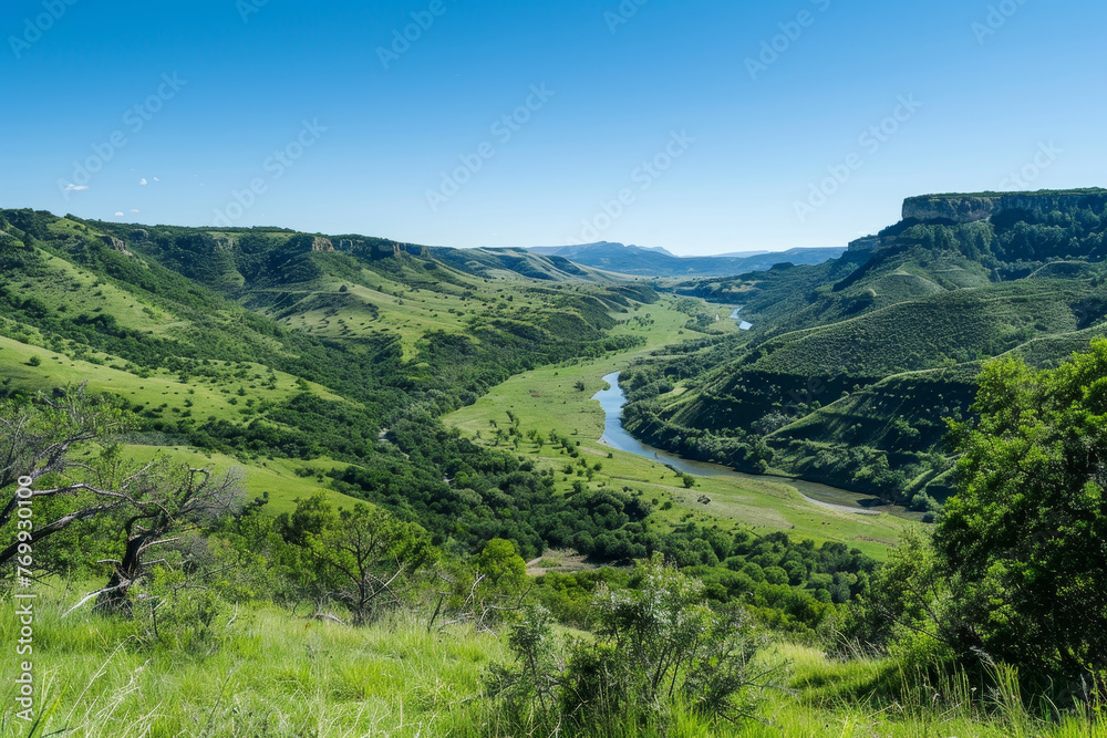 A beautiful green valley with a river running through it A beautiful green valley with a river running through it