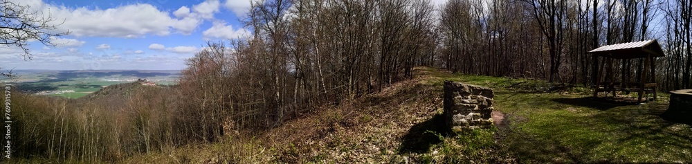 Blick zur Ruine Rothenburg