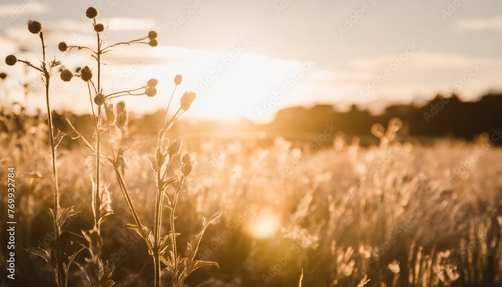 plants background with chemistry structure image