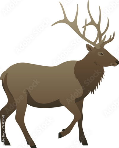 Color vector illustration of elk deer standing  walking  side view. Wild animal with big antlers isolated on white background. Wildlife of North America or Asia.