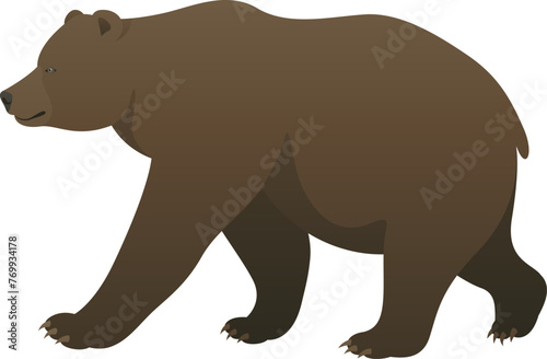 Color vector illustration of brown bear grizzly standing  walking  side view. Wild animal isolated on white background. Wildlife of North America.