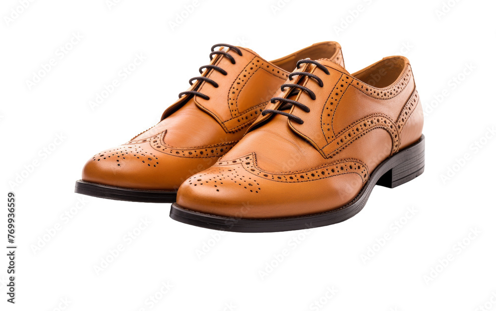 A classy pair of tan shoes displayed on a clean white background