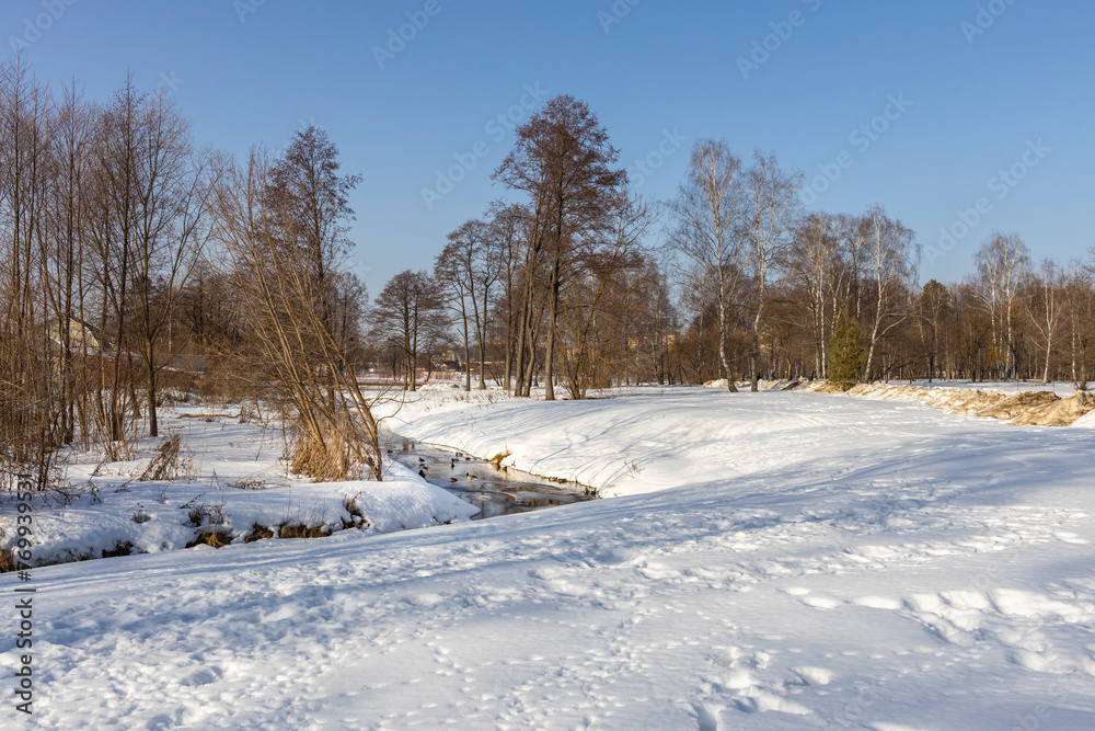 Ducks on a winter river, sunny day near an icy river, wild birds swimming in the water, peaceful nature concept, environment, privacy and tranquility in nature.