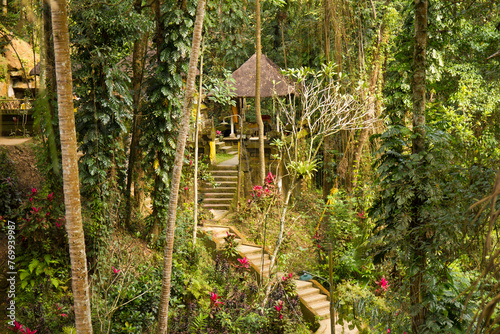 Garden in Pura Goa Gajah, Bali, Indonesia photo