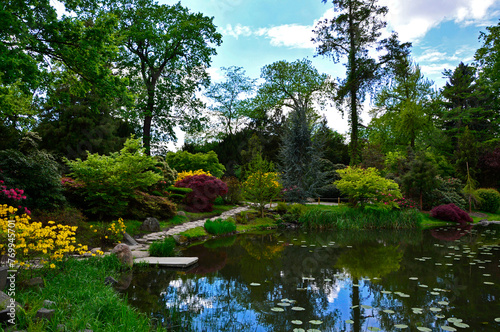 ogród japoński kwitnące różaneczniki i azalie, ogród japoński nad wodą, japanese garden blooming rhododendrons and azaleas, Rhododendron 