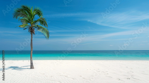 Palm tree stands on the sandy shore of beautiful azure sea. Background for summer exotic holiday