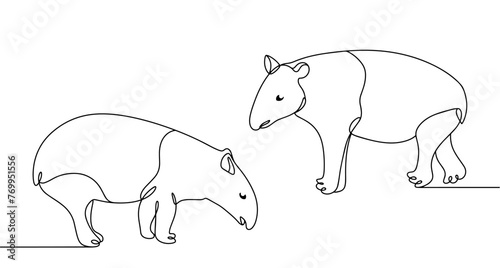 Pair of tapirs