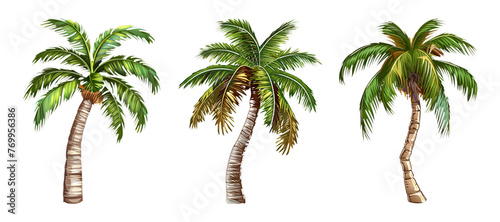 Sticker Pack of a Palm Tree On a Transparent Background - Ai Generated