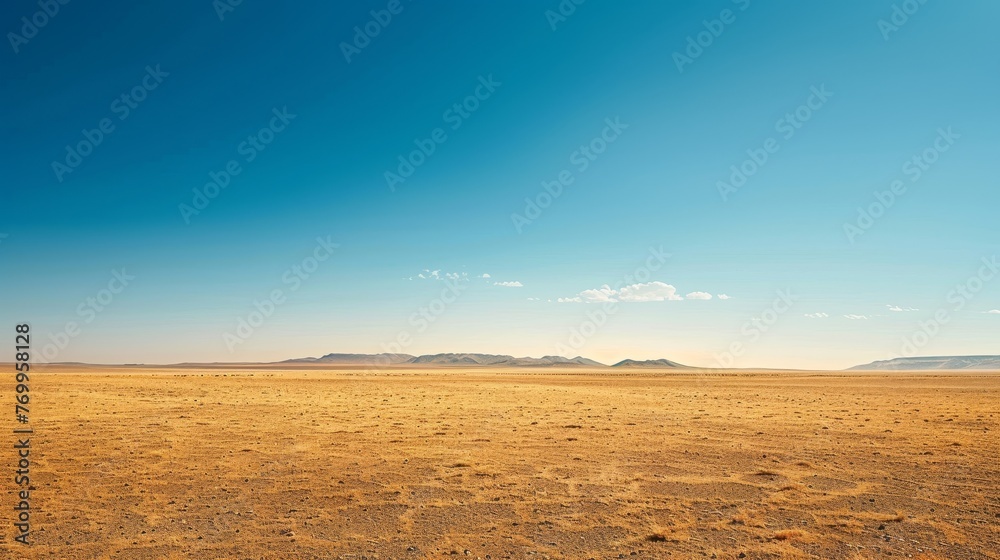 The environment: A vast desert landscape under a clear blue sky The environment: A vast desert landscape under a clear blue sky