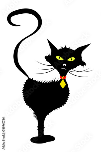 Black tousled cat with collar and mustache