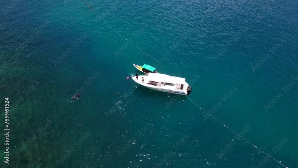 Sharks are fed from boat while snorkeling. Majestic aerial top view flight drone Sharks are fed from boat while snorkeling. Majestic aerial top view flight drone