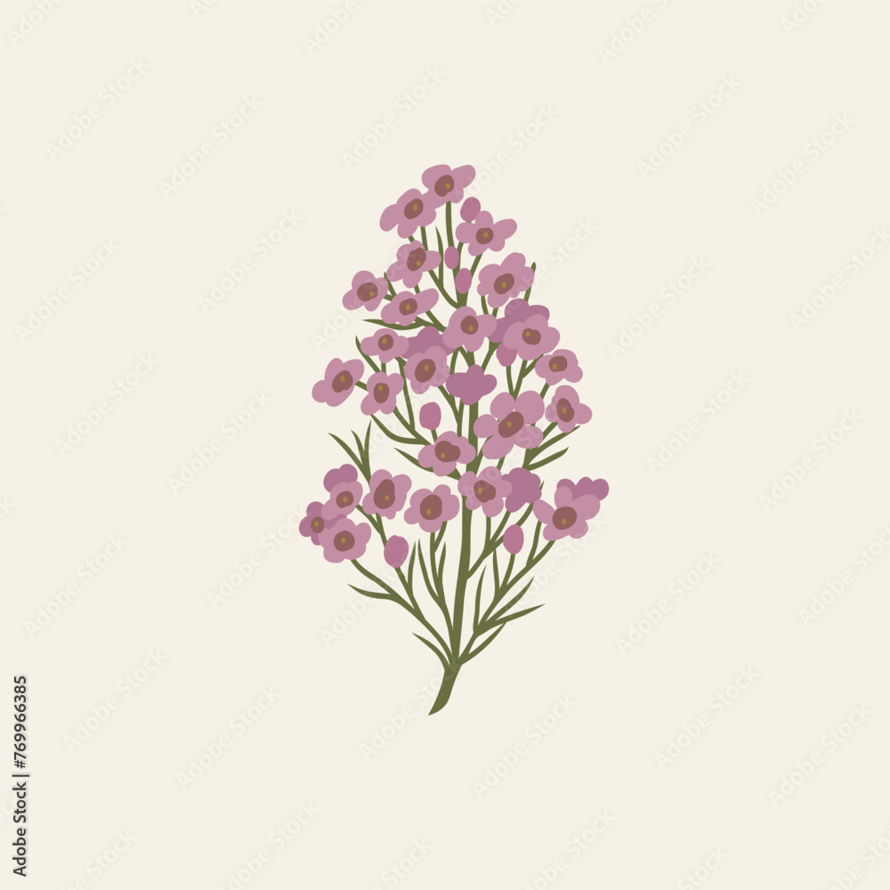 Obraz premium Flat vector waxflower branch illustration