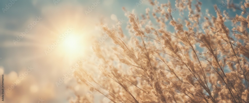 Summer sky with sunlight natural bokeh Summer sky with sunlight natural bokeh