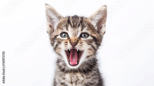 An adorable tabby kitten with striking blue eyes wide open mid-yawn against a white background.